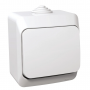 Intrerupator cap scara simplu Schneider Electric Cedar WDE000560, aparent PT, alb
