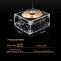 Tesla Coil Bluetooth, arcuri electrice vizibile, mod muzical &