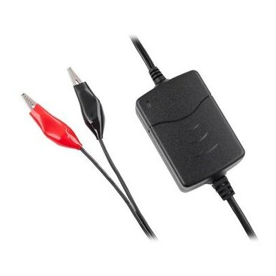 Incarcator acumulator 12V(0,8a) VIPOW BAT1126
