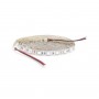 Banda led UV 5050, 12V DC, 60LED/m, IP20, 5m