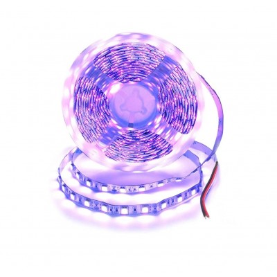 Banda led UV 5050, 12V DC, 60LED/m, IP20, 5m