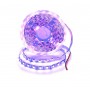 Banda led UV 5050, 12V DC, 60LED/m, IP20, 5m