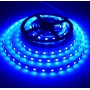Banda LED 5050 albastra 60LED/m, 12V DC, 5m, IP20