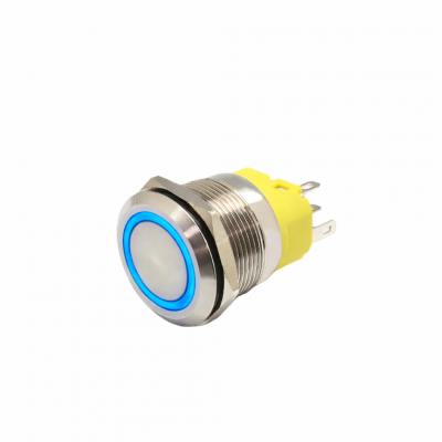 Buton push iluminat cu mentinere, 5A 12–24V DC, 22mm, IP65