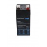 Acumulator plumb acid 4V 4.5 AH, Well