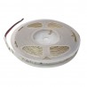 Banda led 3528 60 led-uri pe metru IP20 12v 6000K Alb rece